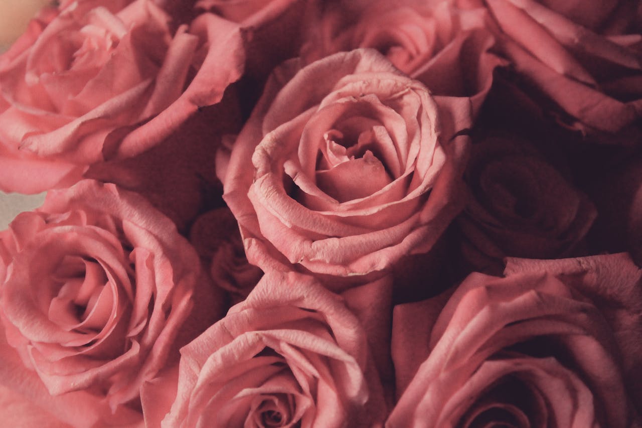 A close-up view of a beautifully arranged pink roses bouquet, perfect for romantic occasions.